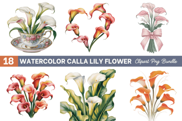 Download Watercolor Calla Lily Flower ClipArt's - Flower Collection