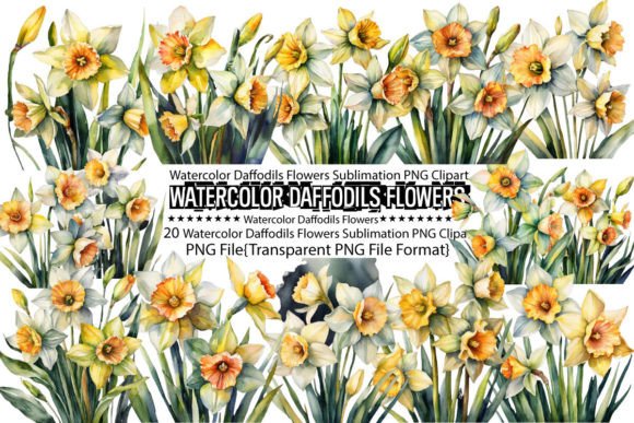 Download Watercolor Daffodils Flowers Sublimation - Flower Collection