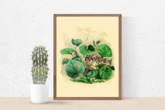 Download Violet Flowers Illustration, Violet - Flower Collection