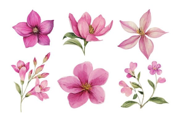 Download Pink Watercolor Flower Clipart Set - Flower Collection