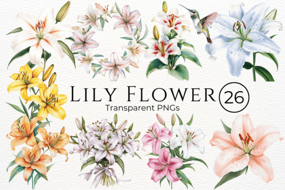 Download Lily Flower Watercolor Cliparts - Flower Collection