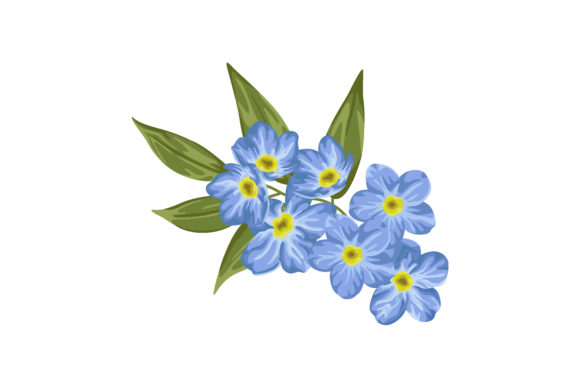 Download Forget Me Not Flower Illustration - Flower Collection