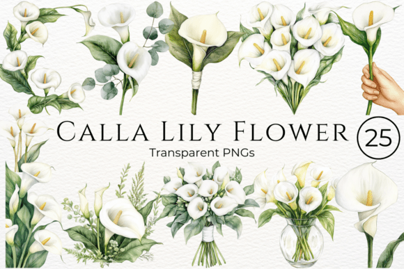 Download Calla Lily Flower Watercolor Cliparts - Flower Collection