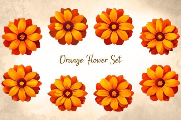 Download Orange Flower Set - Flower Collection