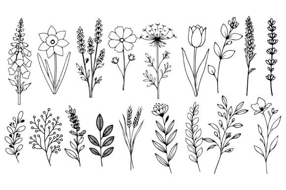Download Set of Herbs and Wild Flowers Vector Art - Flower Collection