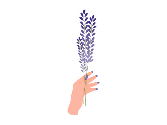 Download Hand Bunch Lavender Violet Flowers Plant - Flower Collection