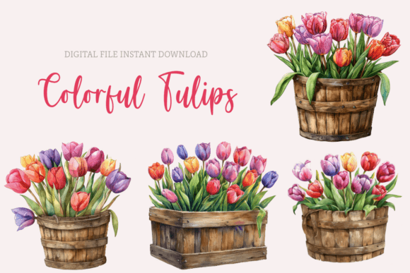Download Watercolor Tulips Clipart Spring Flowers - Flower Collection