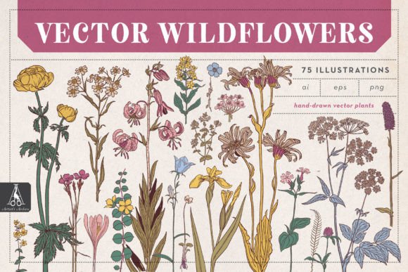 Download Vector Wildflowers - Flower Collection