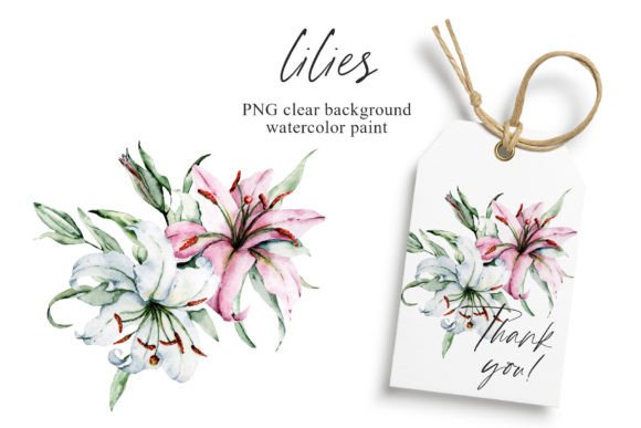 Download Pink and White Flowers Lilies, PNG. - Flower Collection