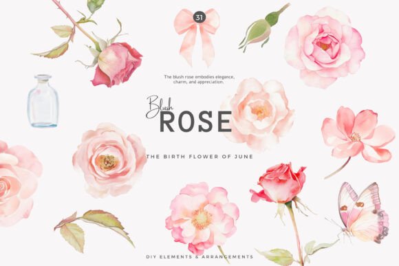 Download Watercolor Clipart Birth Month Flower - Flower Collection