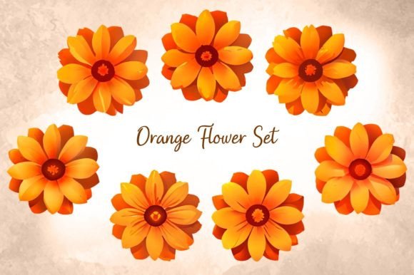 Download Orange Flower Set - Flower Collection
