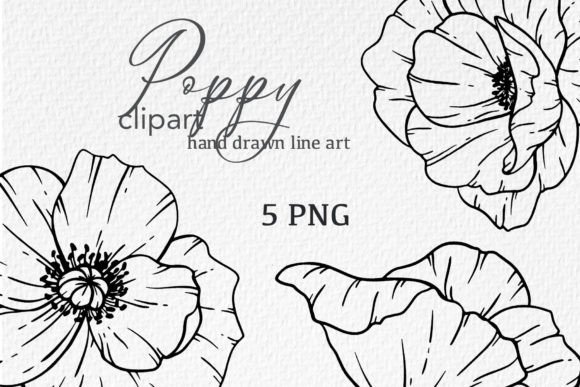 Download Poppy Flowers LINE ART. Poppy CLIPART - Flower Collection