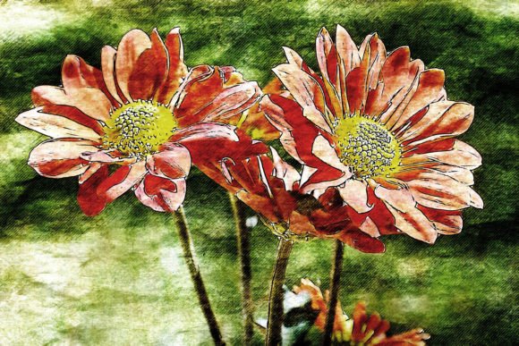 Download Printable Flower Graphics Pack# 01 - Flower Collection