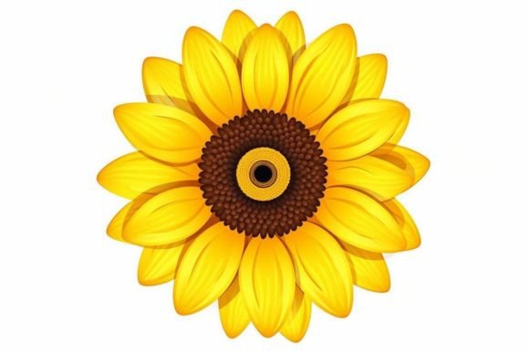 Download Artistic Flower Flower Illustration - Flower Collection