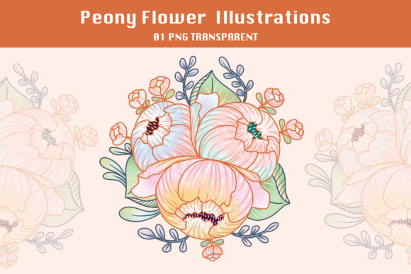 Download Peony Flower Illustrations - Flower Collection