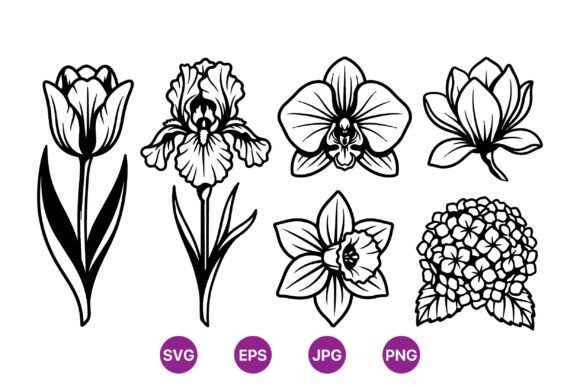 Download Elegant Black Line Flower Illustrations - Flower Collection