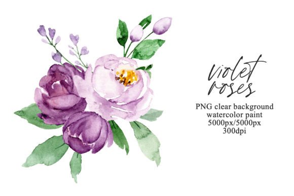 Download Watercolor Violet Flowers Roses, PNG. - Flower Collection