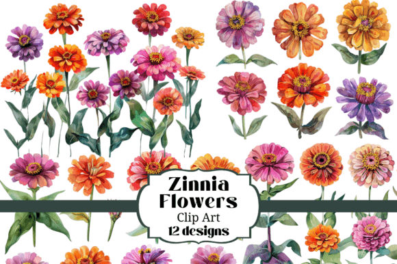 Download Watercolor Zinnia Flower Clip Art - Flower Collection
