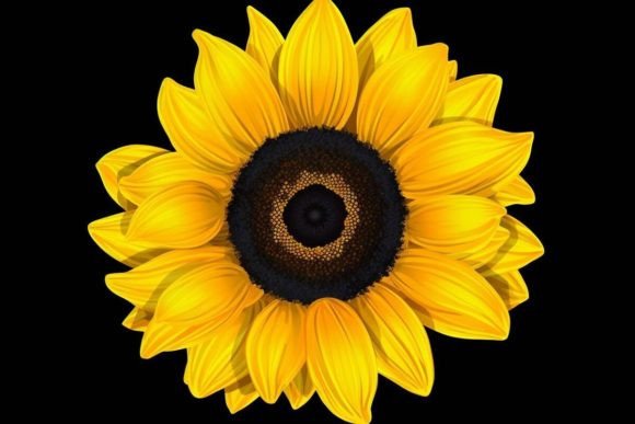 Download Artistic Flower Flower Illustration - Flower Collection