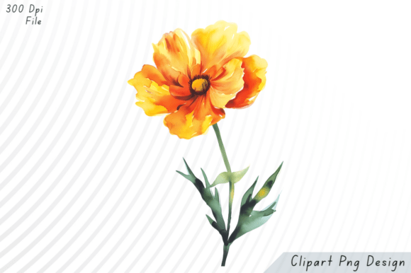 Download Watercolor Orange Yellow Flower PNG Clip - Flower Collection