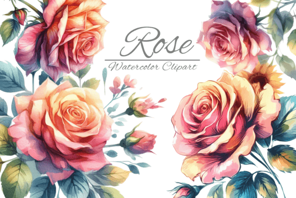 Download Watercolor Rose Flower Clipart - Flower Collection