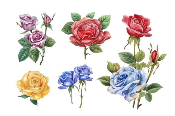 Download Hand Painted Flowers - Flower Collection
