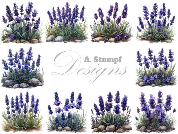 Download Lavender Flowers Clipart Set Floral Art - Flower Collection