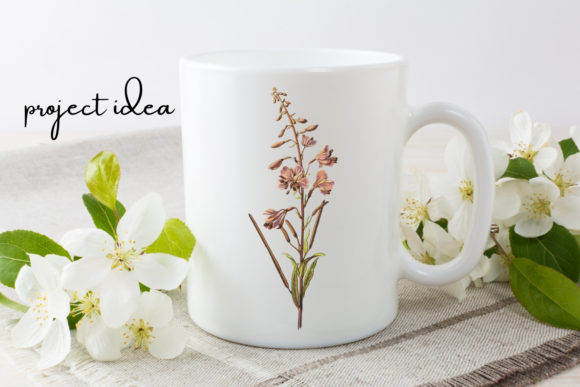 Download Pink Vintage Wild Flower Illustration - Flower Collection