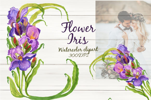 Download Watercolor Flower Iris Spring Clipart - Flower Collection