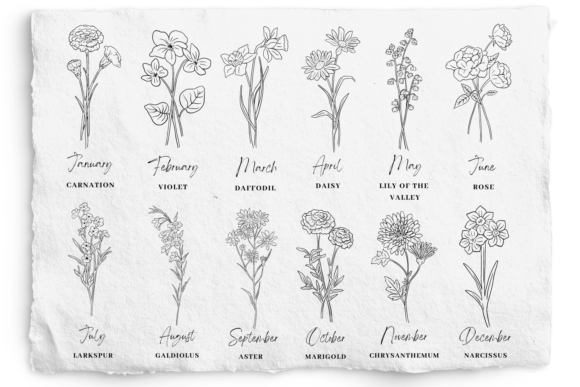 Download Birth Month Flower SVG and PNG Bundle - Flower Collection