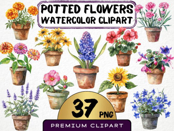 Download Potted Flowers Clipart Bundle 37 PNG - Flower Collection