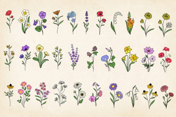 Download Hand-drawn Minimal Wildflowers Bundle - Flower Collection