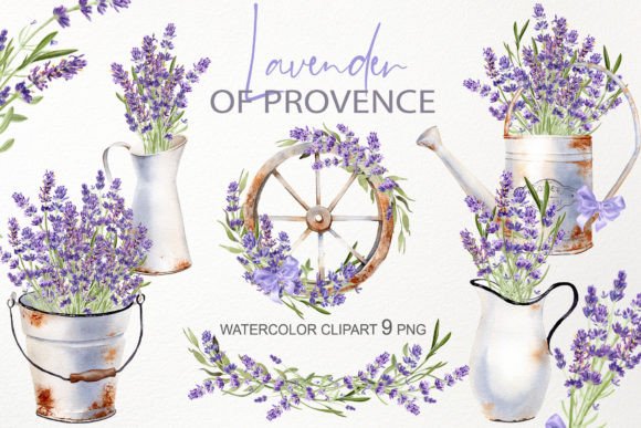 Download Watercolor Lavender Flower Illustration - Flower Collection