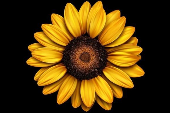 Download Artistic Flower Flower Illustration - Flower Collection