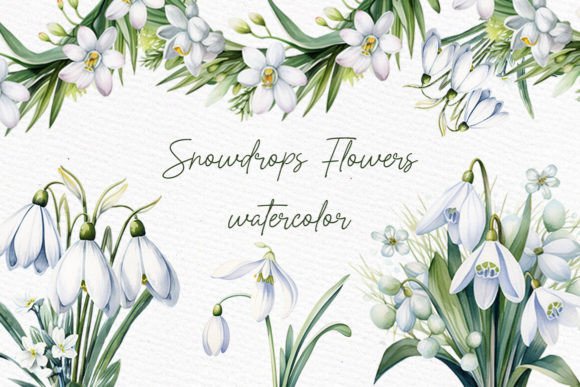 Download Snow Drops Clipart Spring Flowers PNG - Flower Collection