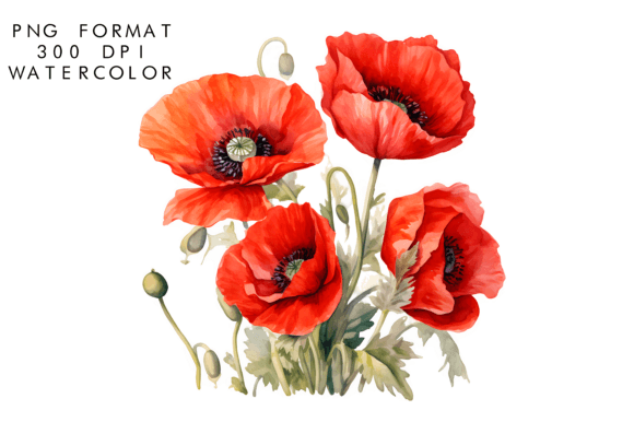 Download Watercolor Poppy Flower Clipart - Flower Collection