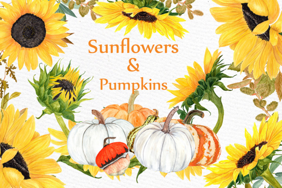 Download Watercolor Sunflower Clipart Pumpkin Clipart Sunflower Wedding Yellow Flower Clipart Harvest Clipart Thanksgiving - Flower Collection