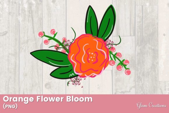 Download Orange Flower Bloom - Flower Collection