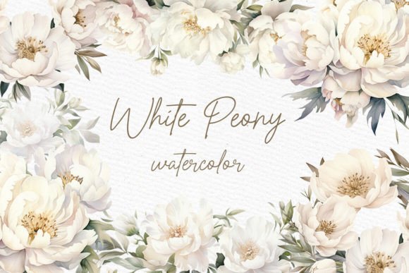 Download White Flowers Png Watercolor White Peony - Flower Collection