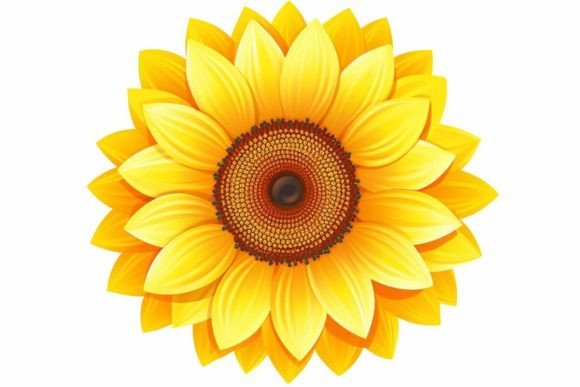 Download Flower Illustration Artistic Depiction - Flower Collection