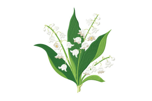 Download Spring Lily of the Valley Flowers - Flower Collection