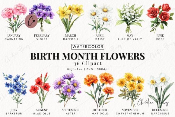 Download Birth Month Flower Clipart Bundle - Flower Collection