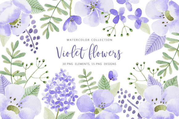 Download Violet Flowers - Flower Collection