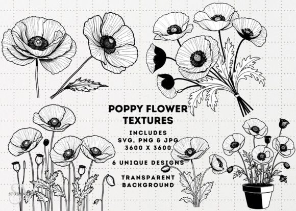 Download Poppy Flowers Clipart - SVG, PNG, JPG - Flower Collection