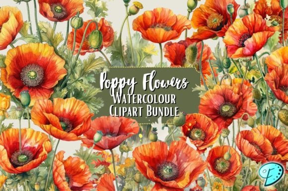 Download Poppy Flowers Watercolour Clipart Bundle - Flower Collection