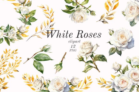 Download White Roses. Watercolor Flowers - Flower Collection