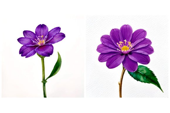 Download 2 Clematis Flower Illustration - Flower Collection
