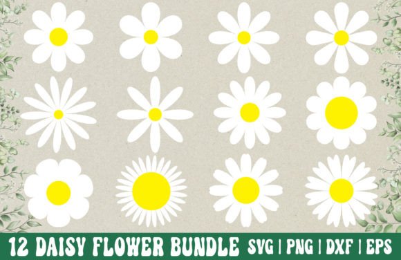 Download Daisy Flower SVG Bundle - Daisy PNG - Flower Collection