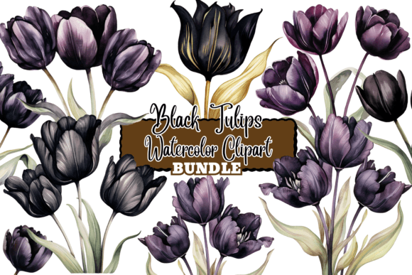 Download Black Tulips Flowers Watercolor Clipart - Flower Collection