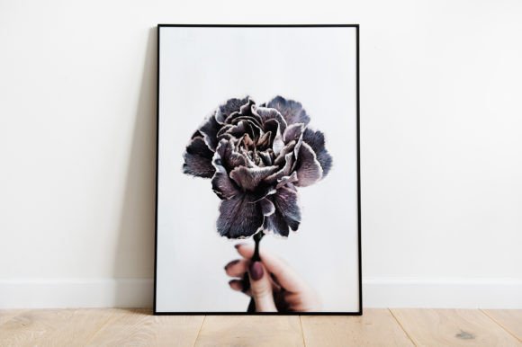 Download Flower Illustration Poster Watercolor - Flower Collection
